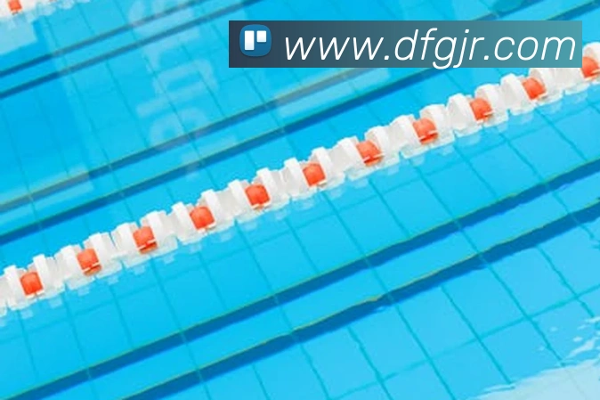 巅峰国际发展历程